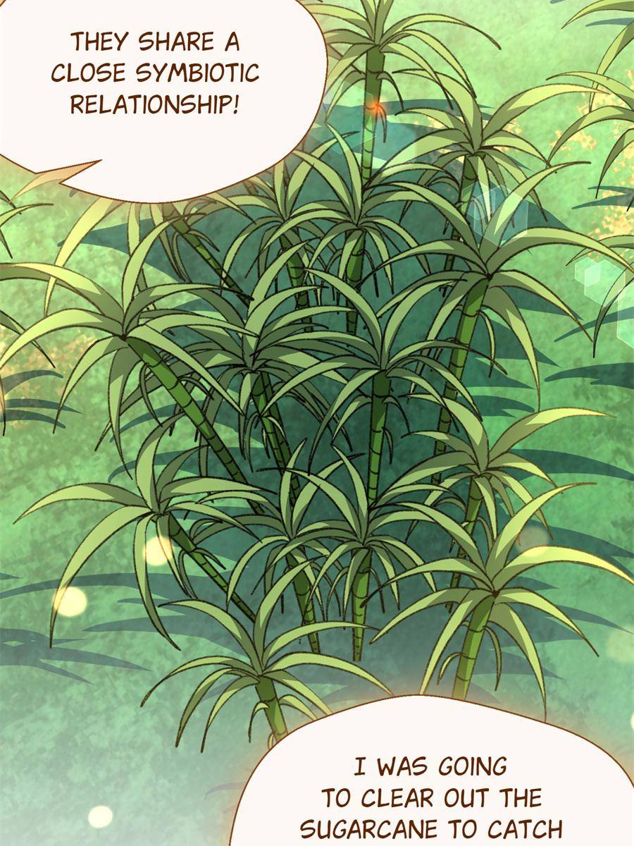 44. Guoguo Has Grown Up 53 81435717 900 1200 187565