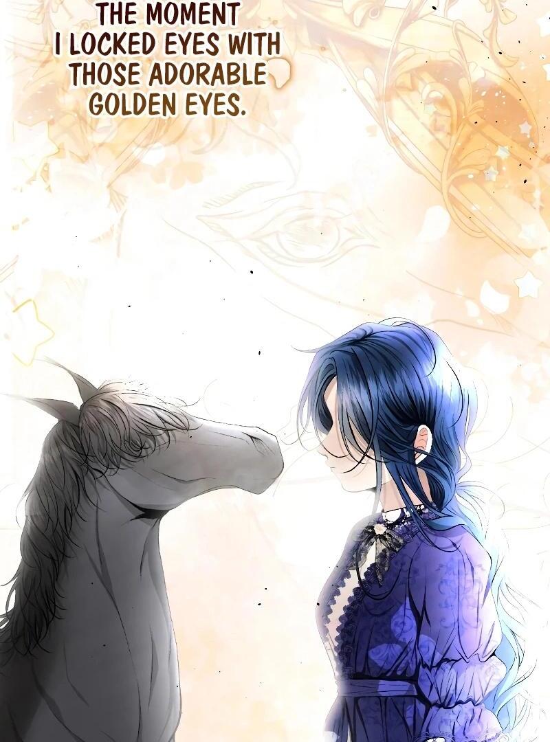 74288281 800 1080 107499